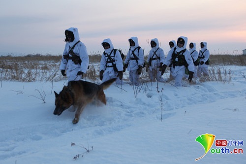 冬季巡逻路上，积雪没过战士的膝盖。军犬四肢深陷雪中，艰难行进。 